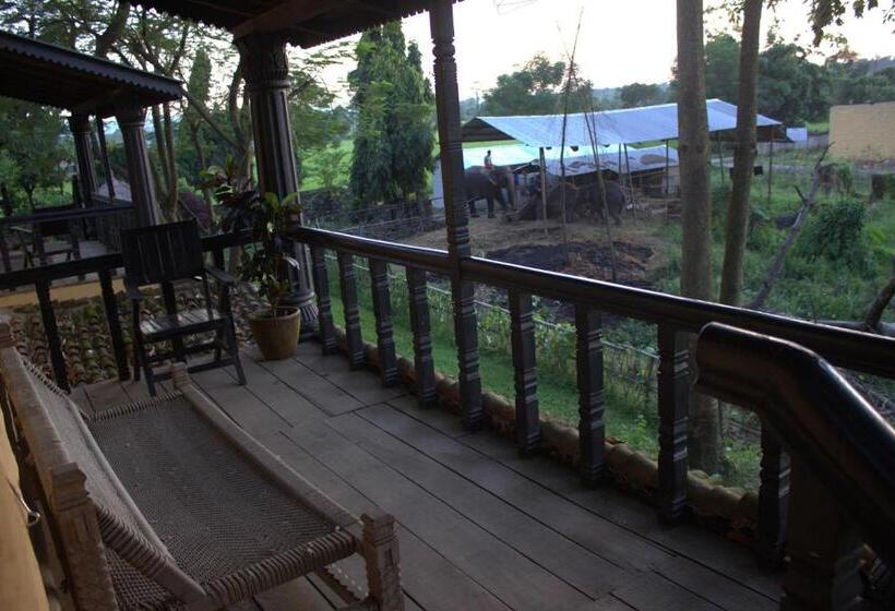 اتاق لوکس یک تخته, Sapana Village Lodge