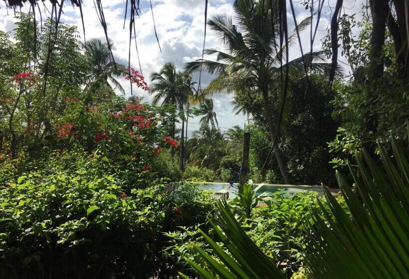 بانگلوی استاندارد, Bellevue Zanzibar