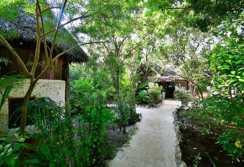 بانگلوی استاندارد, Bellevue Zanzibar