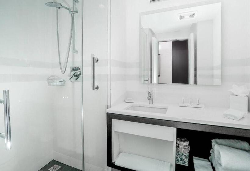 Стандартный Номер Кровать Кинг, Courtyard By Marriott Long Island City/new York Manhattan View