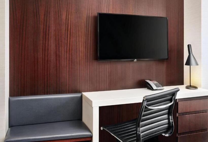 Номер Стандарт Вид на Город, Courtyard By Marriott Long Island City/new York Manhattan View