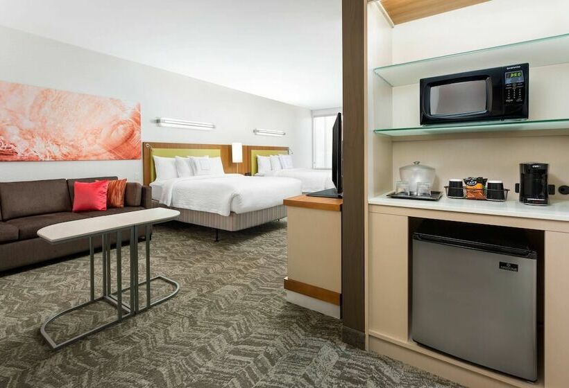 Студия Стандарт, Springhill Suites By Marriott San Diego Mission Valley