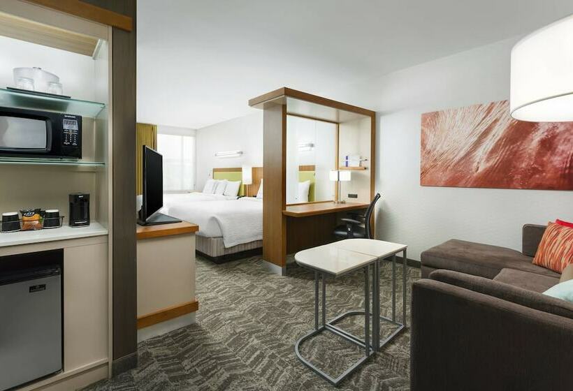 חדר סטודיו סטנדרד, Springhill Suites By Marriott San Diego Mission Valley