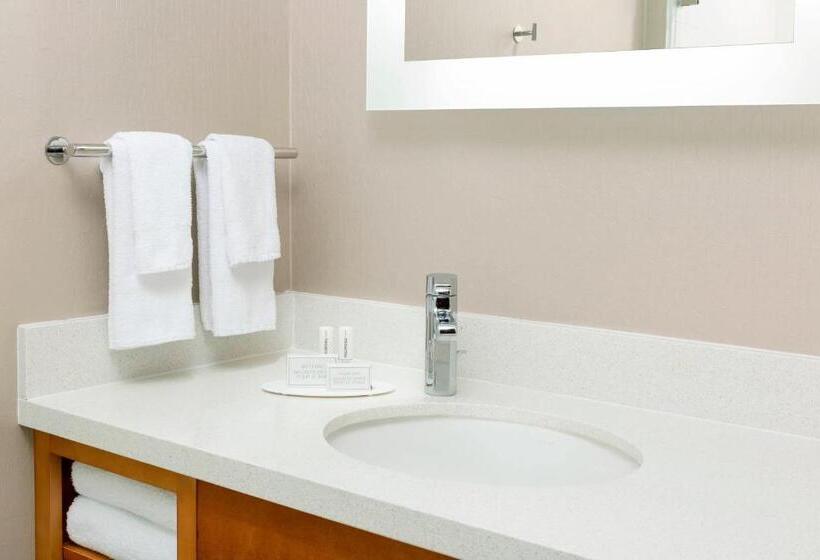 Студио Стандарт Кровать Кинг, Springhill Suites By Marriott San Diego Mission Valley
