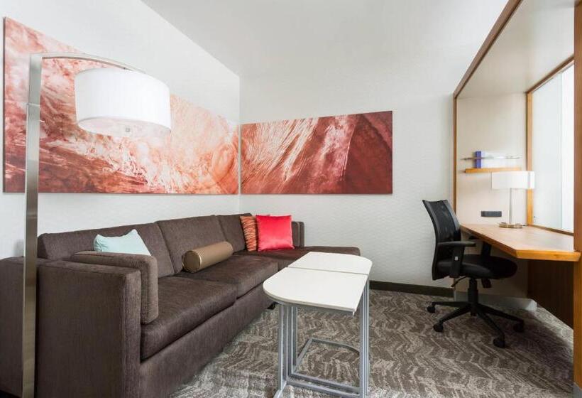Студио Стандарт Кровать Кинг, Springhill Suites By Marriott San Diego Mission Valley
