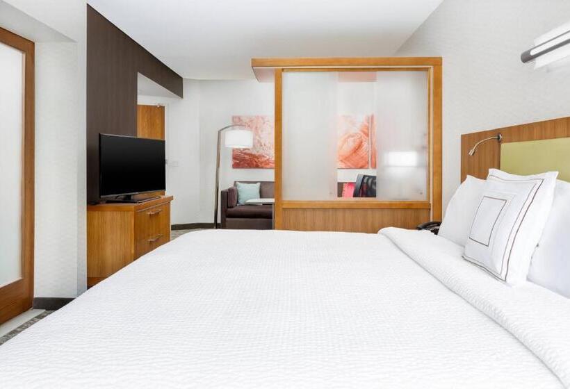 סטודיו סטנדרט, מיטה זוגית, Springhill Suites By Marriott San Diego Mission Valley