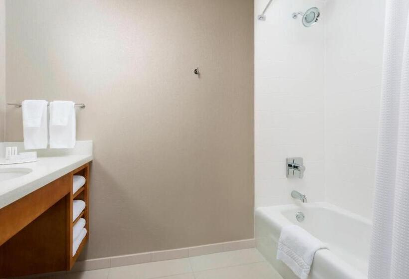 חדר סטודיו סטנדרד, Springhill Suites By Marriott San Diego Mission Valley