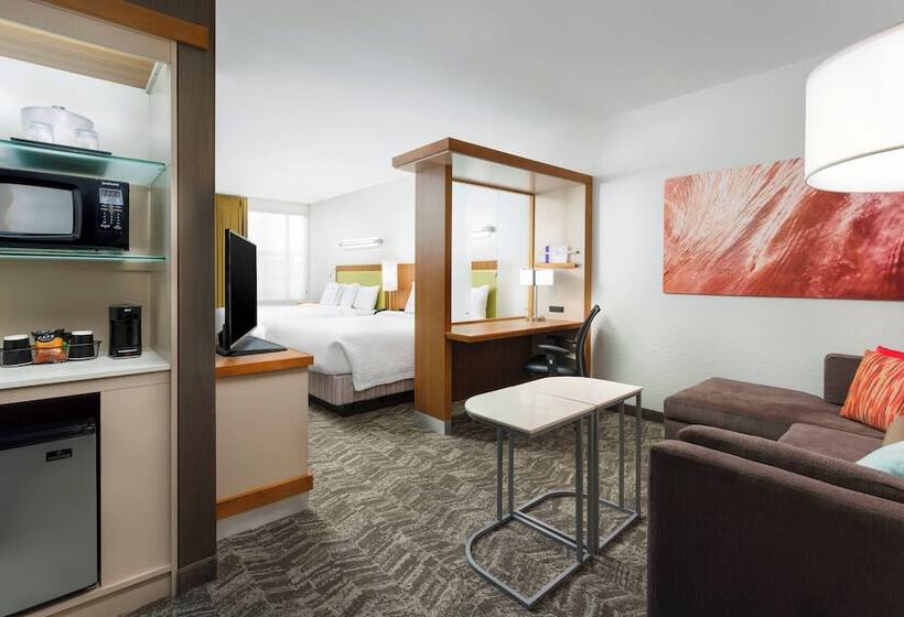 חדר סטודיו סטנדרד, Springhill Suites By Marriott San Diego Mission Valley