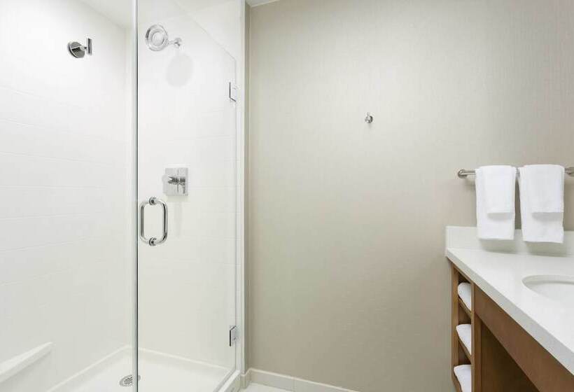 חדר סטודיו סטנדרד, Springhill Suites By Marriott San Diego Mission Valley