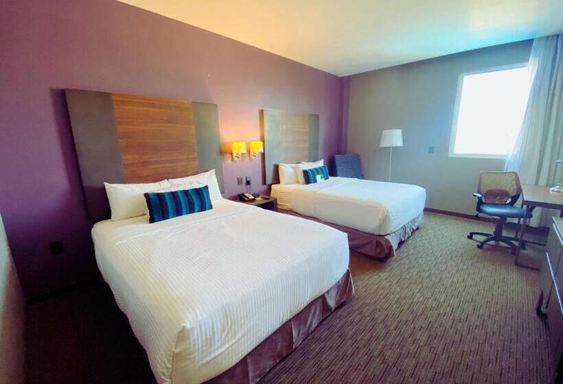 اتاق استاندارد, La Quinta By Wyndham Aguascalientes