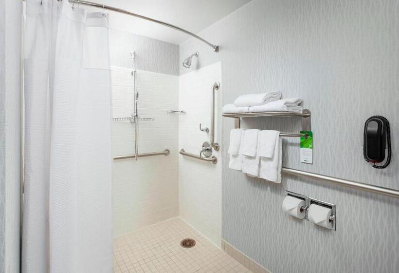 Студио Стандарт Кровать Кинг, Springhill Suites Chicago Downtown/river North