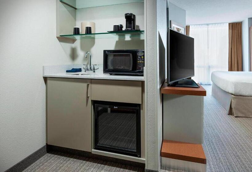 Студио Стандарт Кровать Кинг, Springhill Suites Chicago Downtown/river North