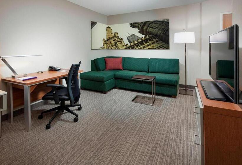 Студия Стандарт Вид на Город, Springhill Suites Chicago Downtown/river North