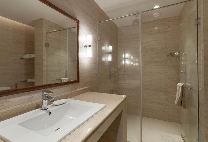 小型套房, Seashell Suites And Villas