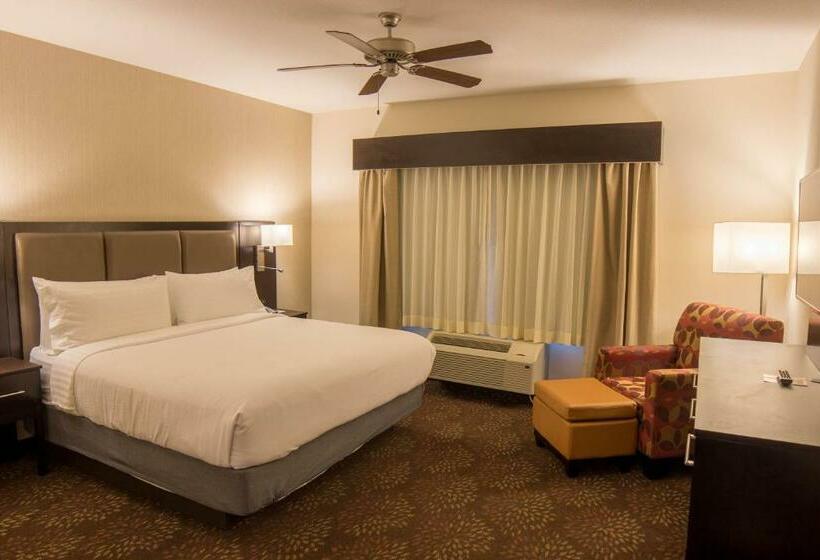 스위트 킹사이즈 침대, Holiday Inn Trophy Club, An Ihg