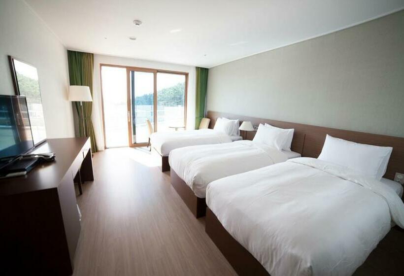 Трехместный Номер Deluxe, Dongwon Youthhostel