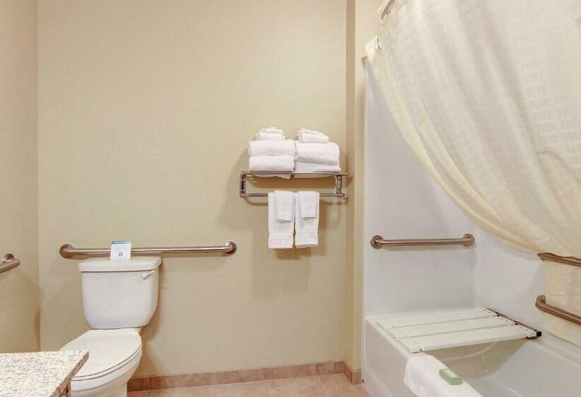 스탠다드 스튜디오, Cobblestone Inn & Suites  Steele