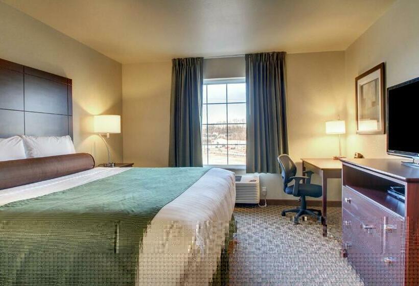 스탠다드 룸 킹사이즈 침대, Cobblestone Inn & Suites  Steele