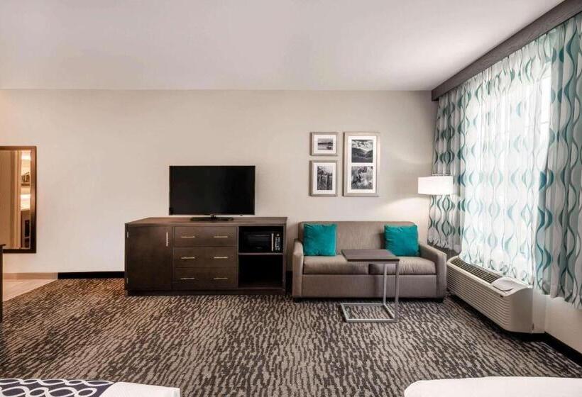 Cameră Executivă, La Quinta By Wyndham Chattanooga   Lookout Mtn