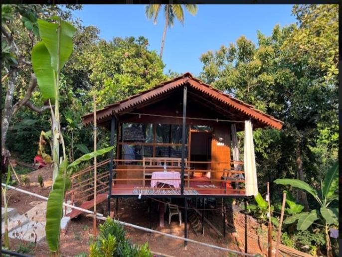 带海景的豪华间, Shiv Sai Huts