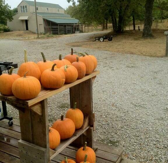 스탠다드 룸 공동 욕실, Netherfield Natural Farm