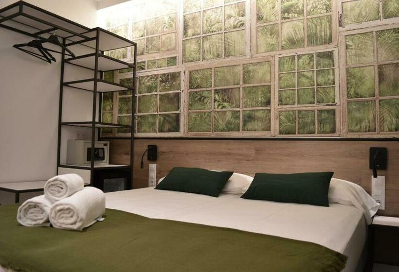 Номер Стандарт, Casp Green House