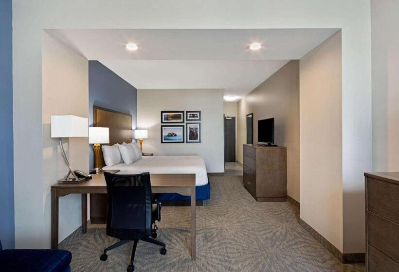 Номер Executive Кровать Кинг, La Quinta By Wyndham Morgan Hill San Jose South