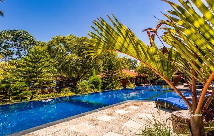 اتاق لوکس خانوادگی, Oceans 5 Dive Resort