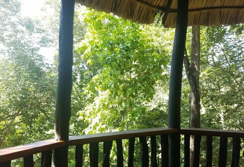 디럭스 코티지, Table Rock Jungle Lodge