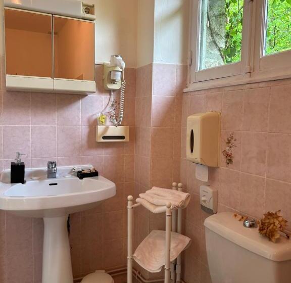 レイクビュースタンダードルーム, Le Chambon, Chambres D Hôtes
