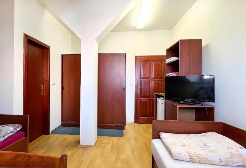 اتاق استاندارد سه نفره, Penzion Navara
