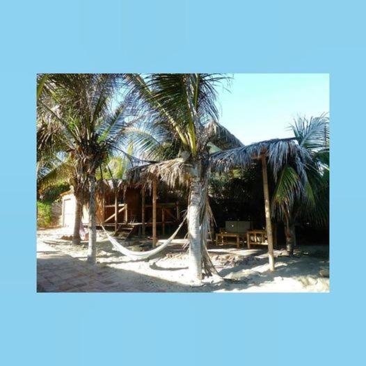 스탠다드 룸 바다 전망, Marcilia Beach Bungalows