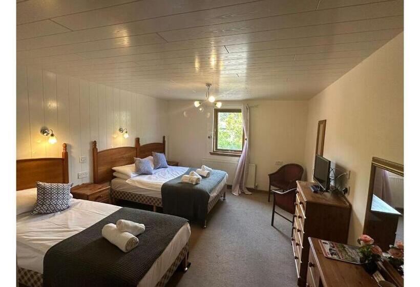 Номер Стандарт Трехместный, Oyo Mackay S Travel Lodge