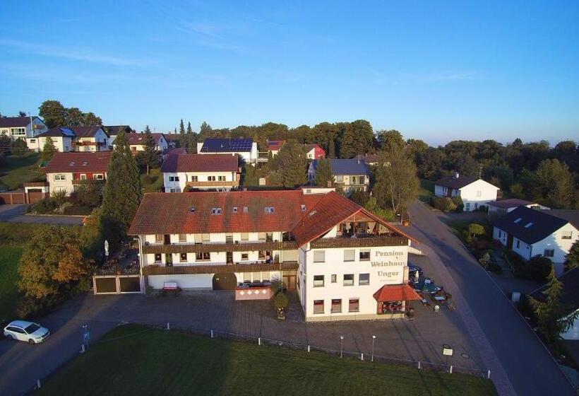 Номер Стандарт Индивидуальный, Pension Weinhaus Unger