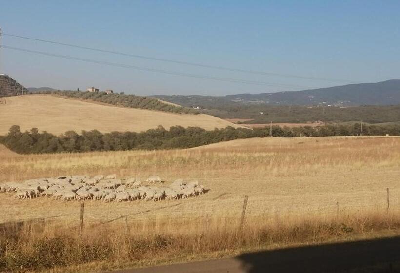 Номер Стандарт, Podere Stabbiatelli