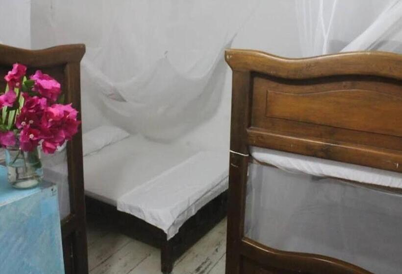 4인용 스탠다드 룸, Taida Experiences Hostel