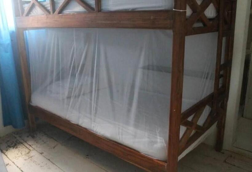 4인용 스탠다드 룸, Taida Experiences Hostel