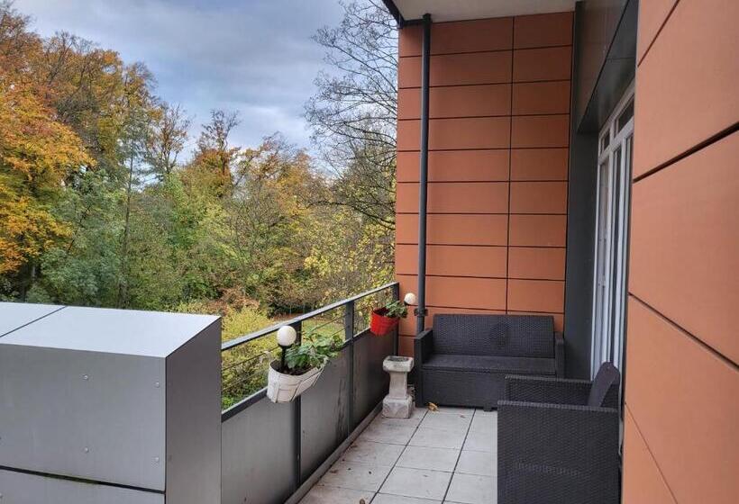 Апартаменты 1 Спальня с Балконом, Sp Hotel Mettmann