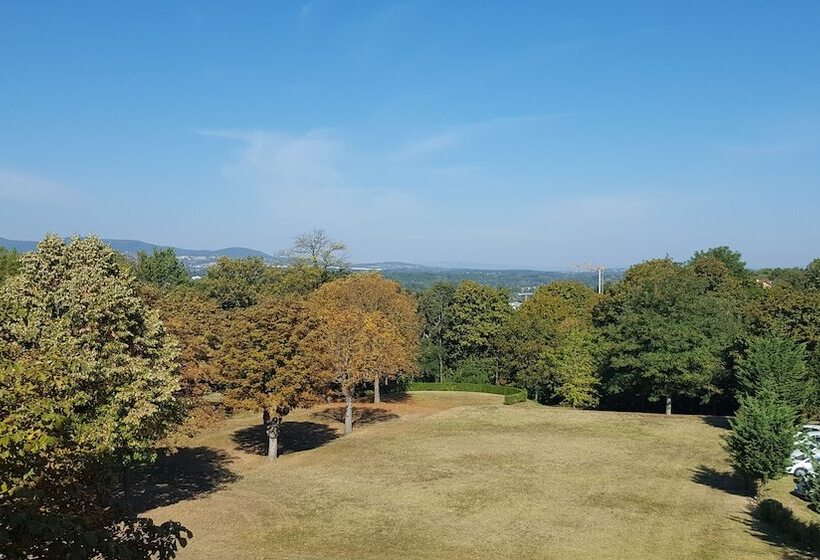 스탠다드 싱글 룸, Domaine Lyon Saint Joseph