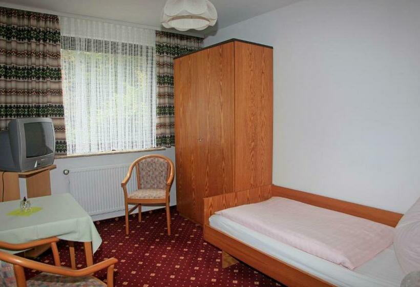 Номер Стандарт Индивидуальный с Балконом, Waldhotel Achtermannstor