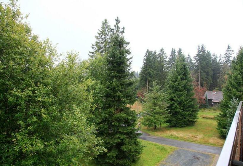 Номер Стандарт с Балконом, Waldhotel Achtermannstor