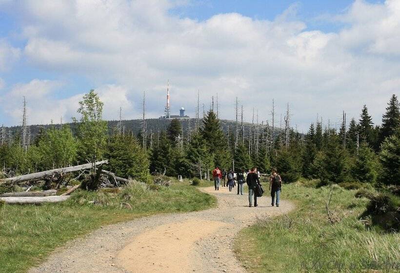 Номер Стандарт Индивидуальный, Waldhotel Achtermannstor