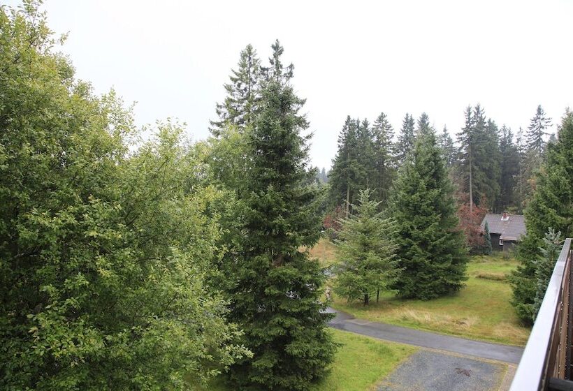 Номер Стандарт Индивидуальный с Балконом, Waldhotel Achtermannstor