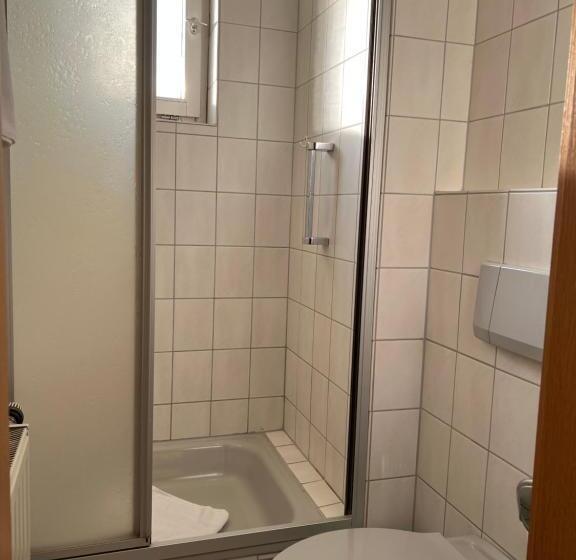 Номер Стандарт Индивидуальный с Балконом, Sevda S Hotel Garni Weinforth