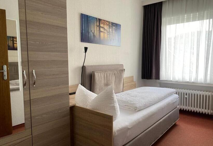 Номер Стандарт Индивидуальный, Sevda S Hotel Garni Weinforth