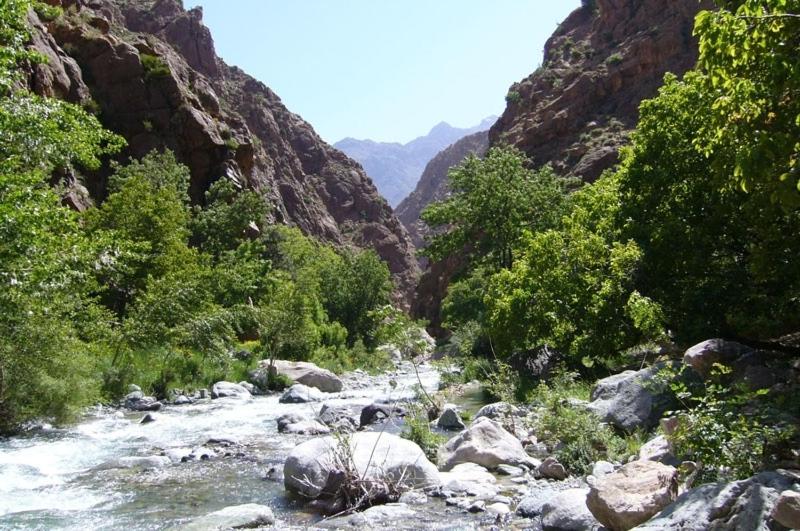 اتاق اکونومی, Le Coq Hardi