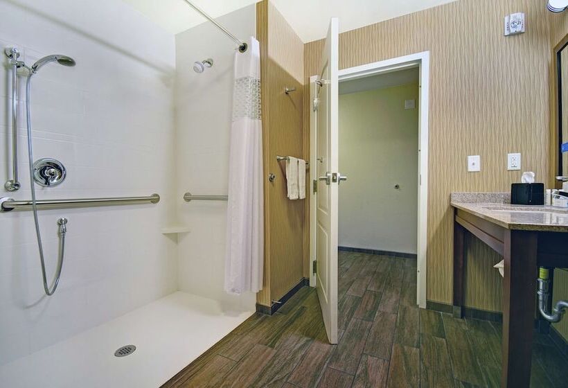 适合残疾人使用的标准间, Hampton Inn & Suites Milwaukee/franklin