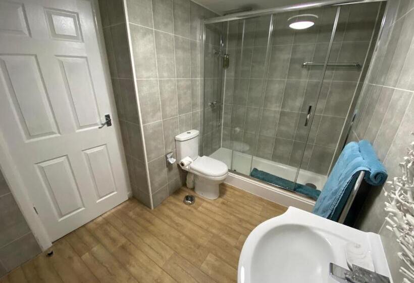 Стандартный Номер Кровать Кинг, Coach Guest House
