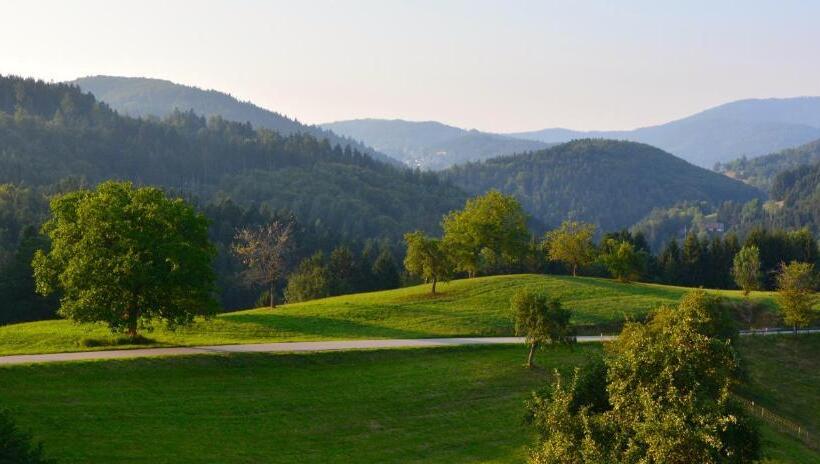 스탠다드 전망 룸, Genusshotel Hirschen   Erholung Im Grünen