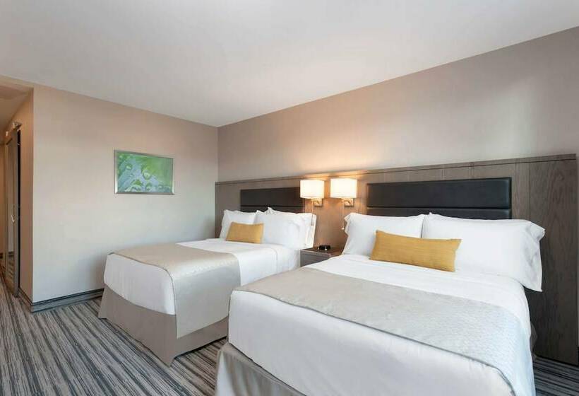 Номер Стандарт 2 Двуспальные Кровати, Wyndham Garden Laguardia South
